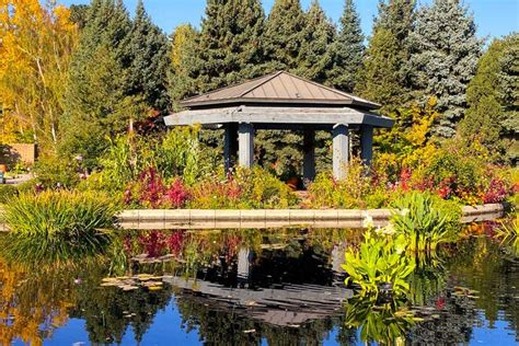  Denver Botanic Gardens: Một ốc đảo xanh tươi giữa lòng thành phố sôi động!