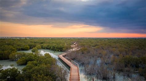 Vườn Quốc Gia Dongying Mangrove - Một Hành Trình Khám Phá Thiên Nhiên Rực Rỡ và Biodiverse!