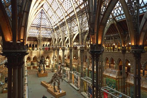 Oxford University Museum of Natural History: Unlocking the Secrets of Earth and Beyond!