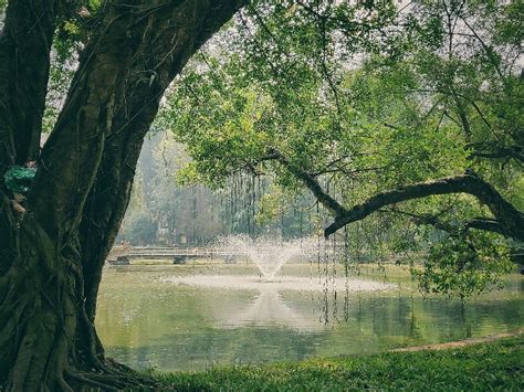  Vườn Bách Thảo Thành Đô - Nơi Phóng Khí & Gặp Gỡ Loài Vật Lạ